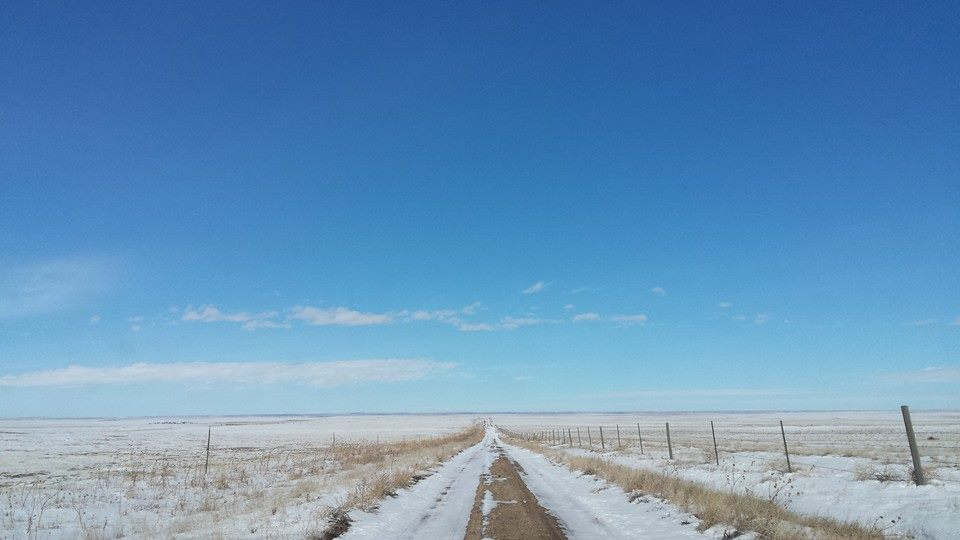 Snowy Road Co